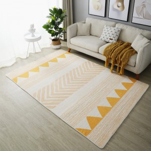 Modern minimalist living room full of large area carpet mat