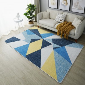Modern minimalist living room full of large area carpet mat