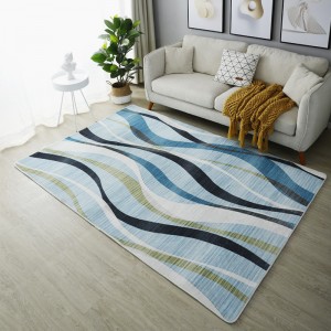 Modern minimalist living room full of large area carpet mat