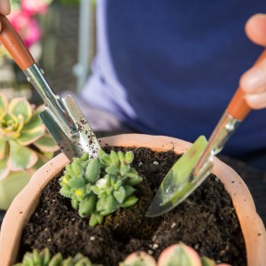 Outdoor Stainless Steel Garden Hand Trowel Fork 3pcs Mini Tools Set