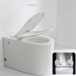 555 Prefab Toilet Commode Hanging Outdoor Rimless Wc Black Bathroom Up Flush Container Conteneur Luxury P Trap Equipment