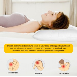 Pillow Company Cervical Orthopedic Neck Support Pillow – White Firm