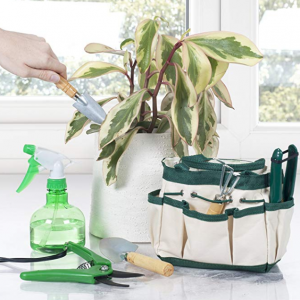 Plants 7 Piece Gardening Tool Set with Carrying Tote Bag
