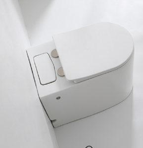 555 Prefab Toilet Commode Hanging Outdoor Rimless Wc Black Bathroom Up Flush Container Conteneur Luxury P Trap Equipment
