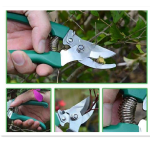Most Popular Garden Equipment 5 Pcs Hand Tools Set With Garden Shovel Scissor Watering Can Garden Hand Tools Box Set