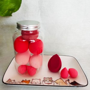 Beauty Egg Puff Kit Wet Dry Dual Use Makeup Tool Set Foundation Concealer Cosmetic Puff Makeup Sponge Best Price 8 Pcs