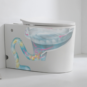 555 Prefab Toilet Commode Hanging Outdoor Rimless Wc Black Bathroom Up Flush Container Conteneur Luxury P Trap Equipment