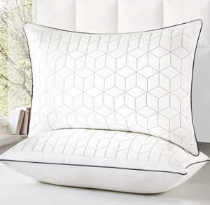 2-pack 100% polyester down alternative hypoallergenic pillow