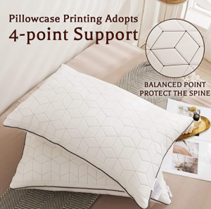 2-pack 100% polyester down alternative hypoallergenic pillow