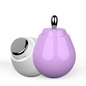 Unique design two interchangeable massage tips EMS skin lifting instrument facial beauty personal care tools
